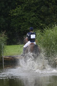 Horse water jump