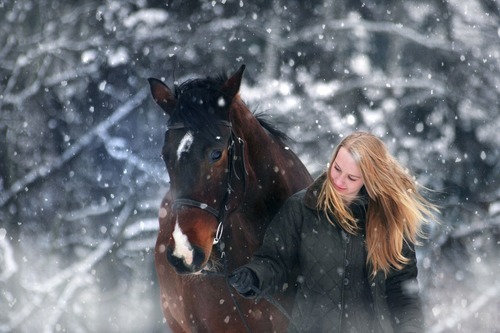 Hästträning vintertid